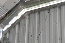 Birds nesting in barn